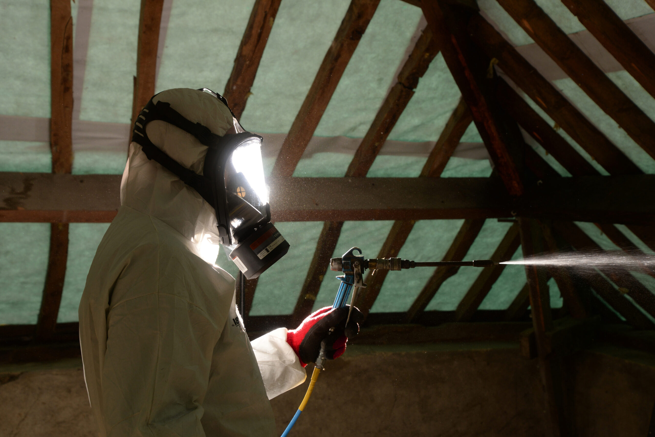 traitement des termites nantes